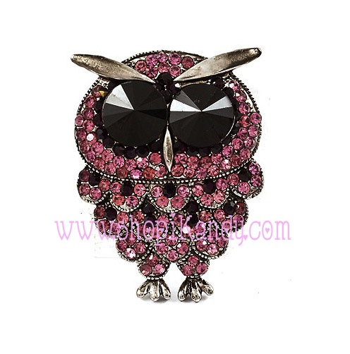 Owl Pendant & Brooch